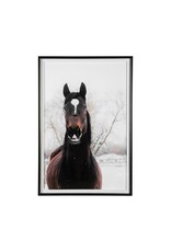 Artwork - Stable Horse