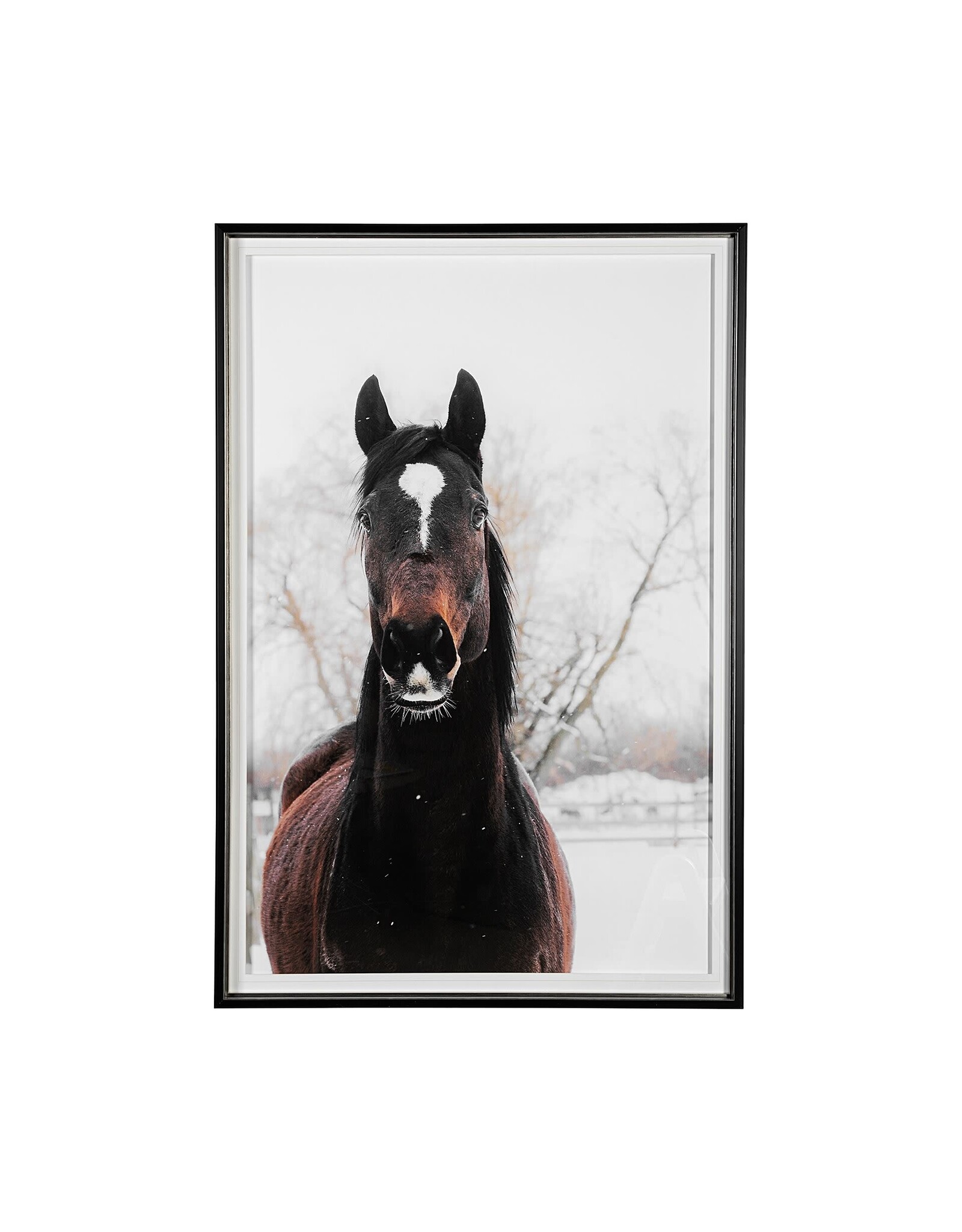 Artwork - Stable Horse