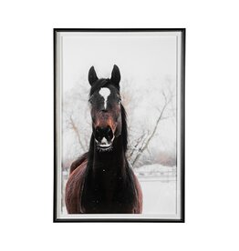 Artwork - Stable Horse