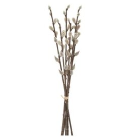Pussy Willow Bouquet - 15"