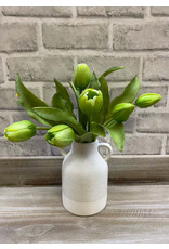 12" Green Fresh Touch Tulip Bundle
