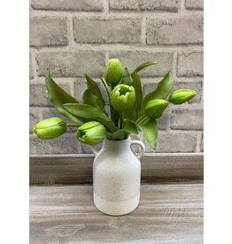 12" Green Fresh Touch Tulip Bundle