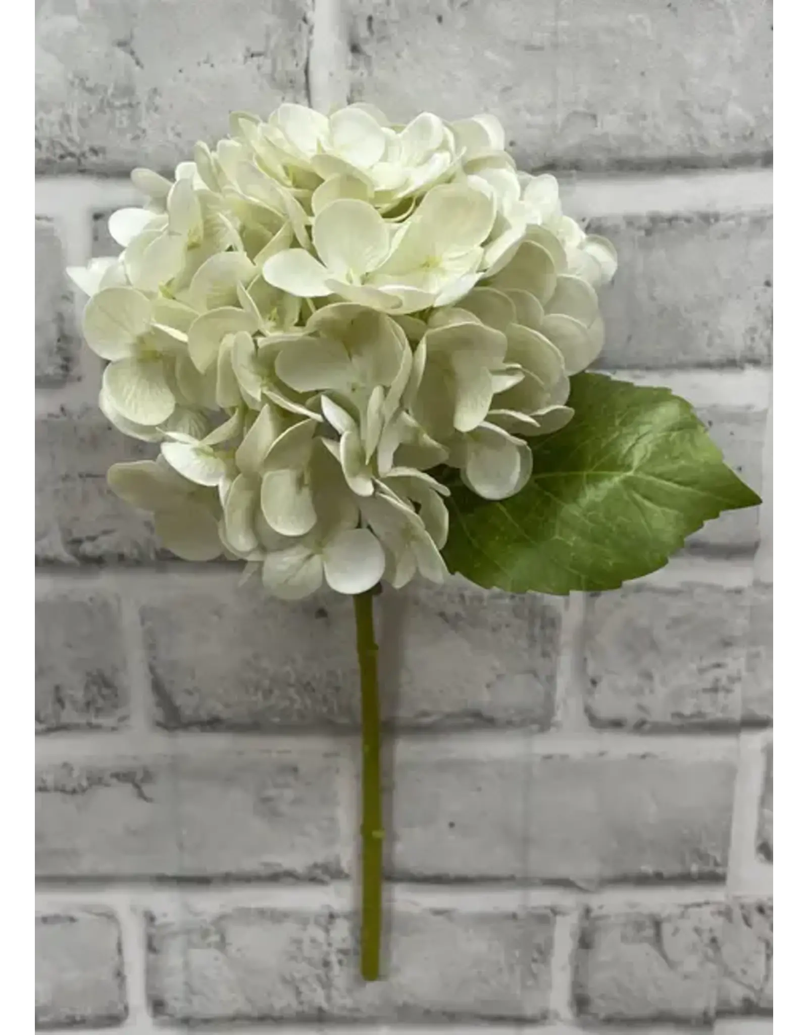 12" Fresh Touch Hydrangea Stem - Cream Green