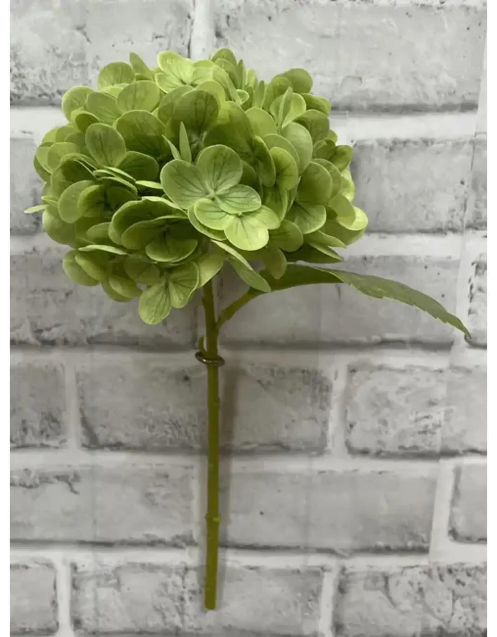 12" Green Fresh Touch Hydrangea Stem