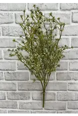 22" Green Sedum Bush