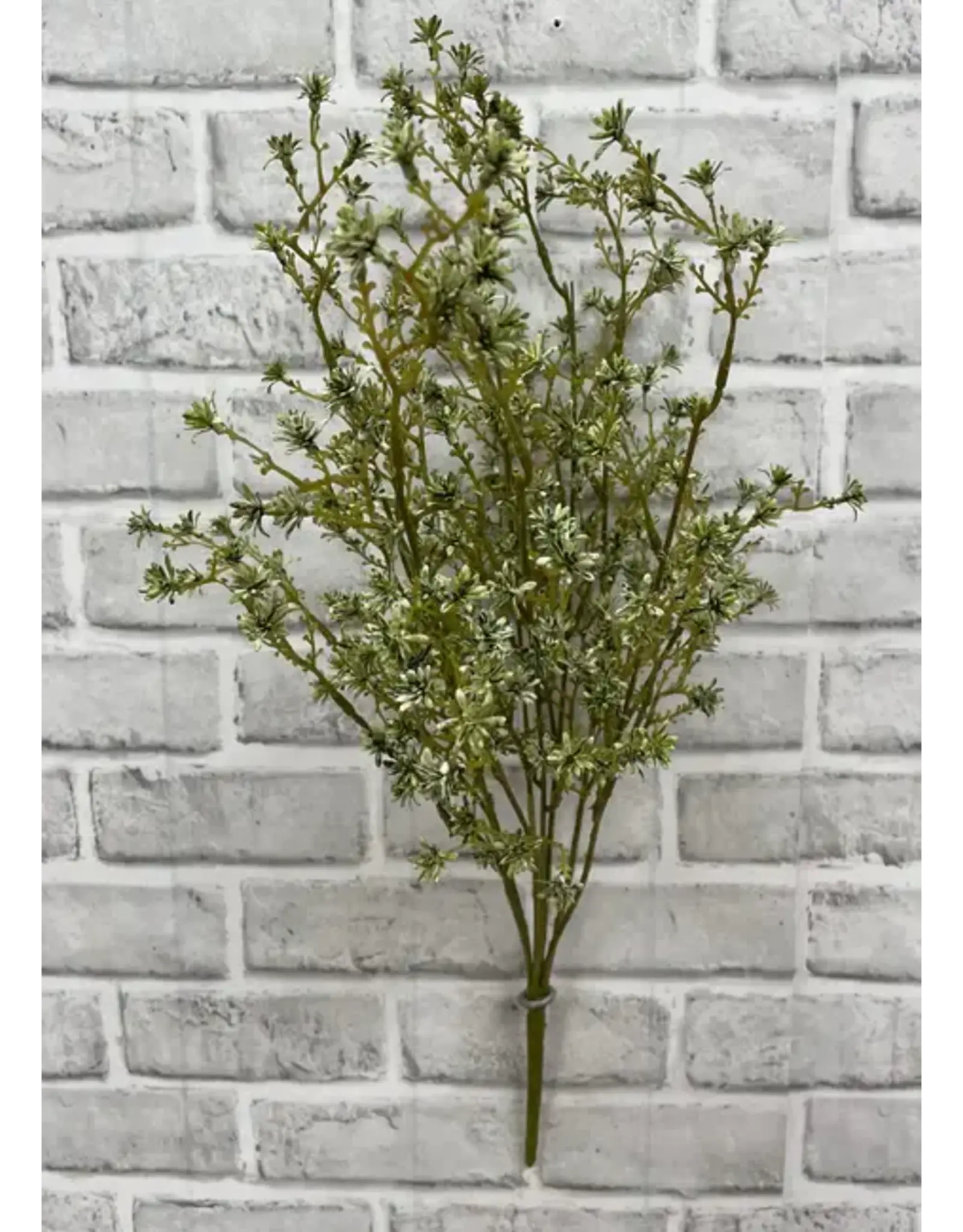 22" Green Sedum Bush