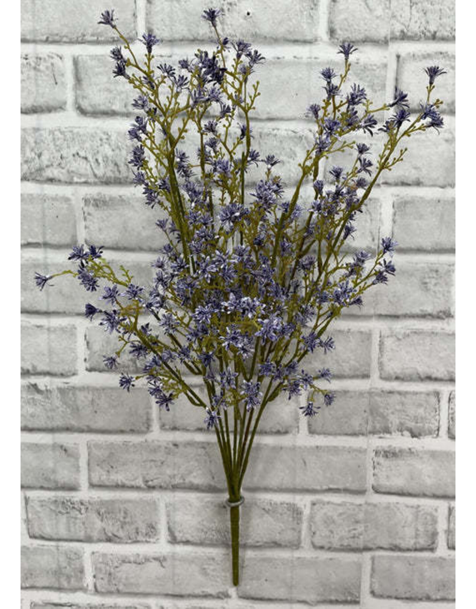 22" Purple Sedum Seed Bush