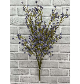 22" Purple Sedum Seed Bush