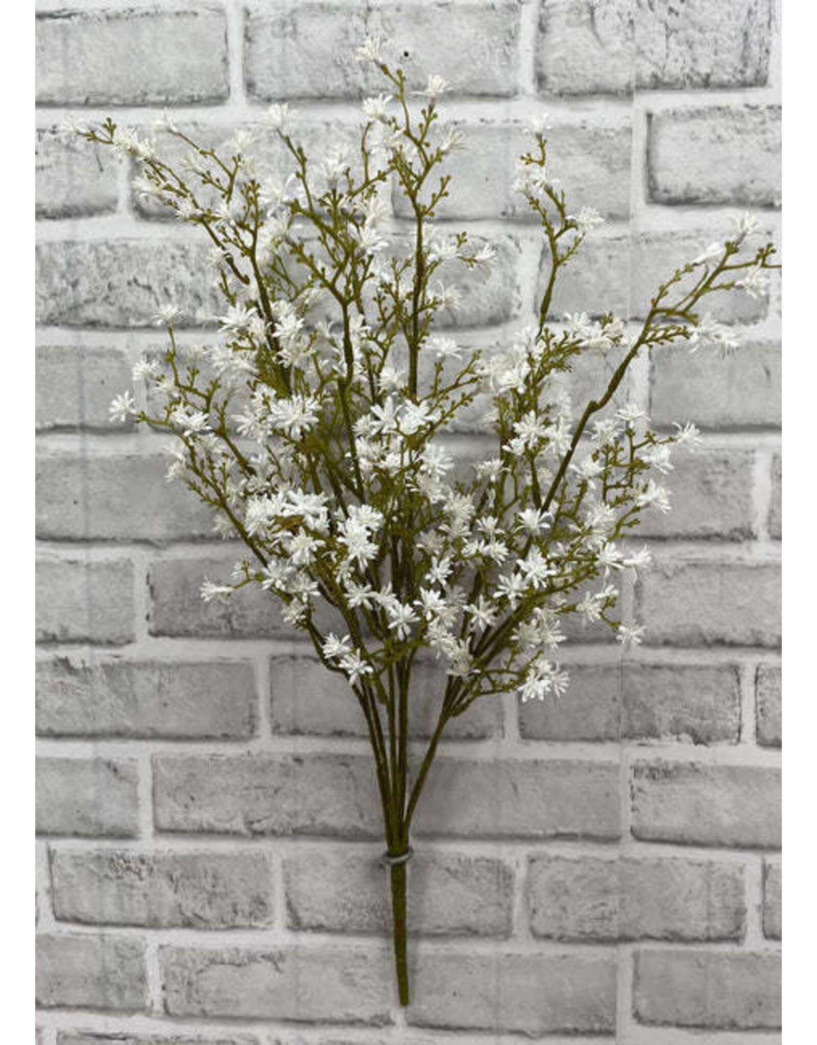 22" White Sedum Seed Bush