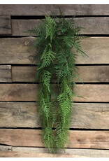 33" Asparagus Hanging Vine