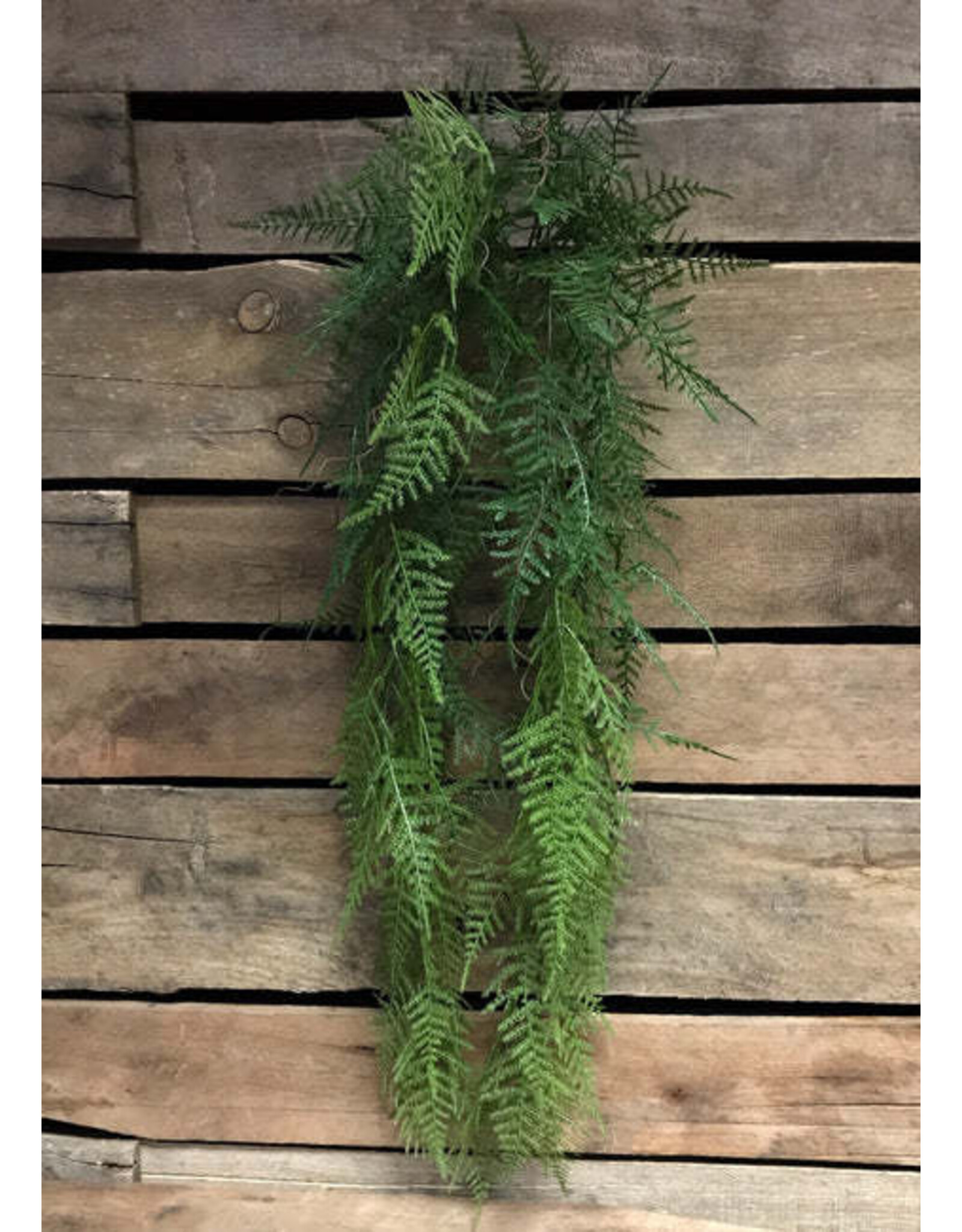 33" Asparagus Hanging Vine