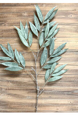 42" Muddy White Willow Spray