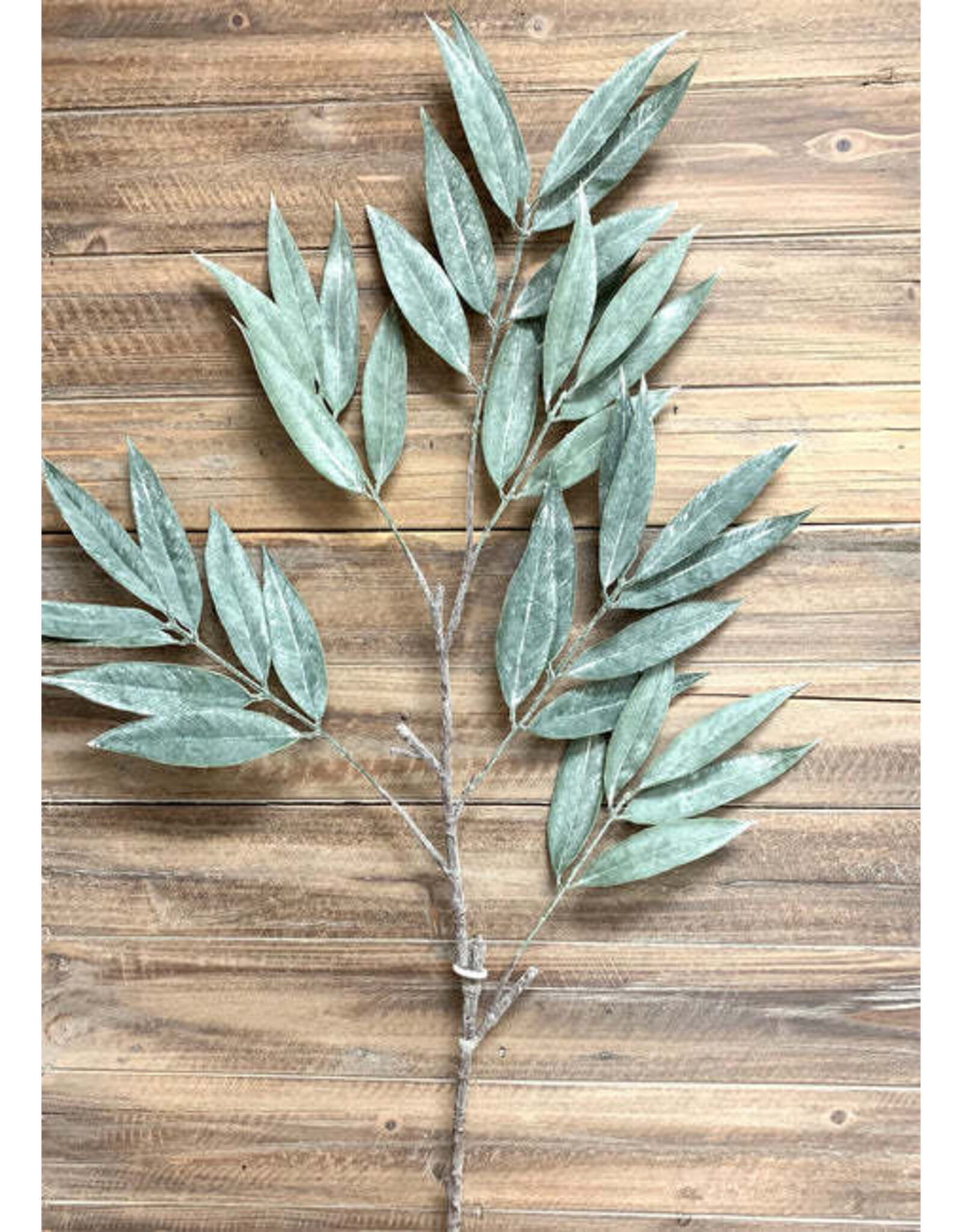 42" Muddy White Willow Spray