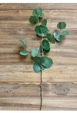 26.5" Fresh Touch Silver Dollar Eucalyptus Spray