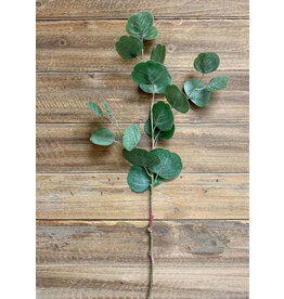 26.5" Fresh Touch Silver Dollar Eucalyptus Spray