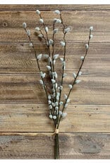 19" Pussy Willow Bundle