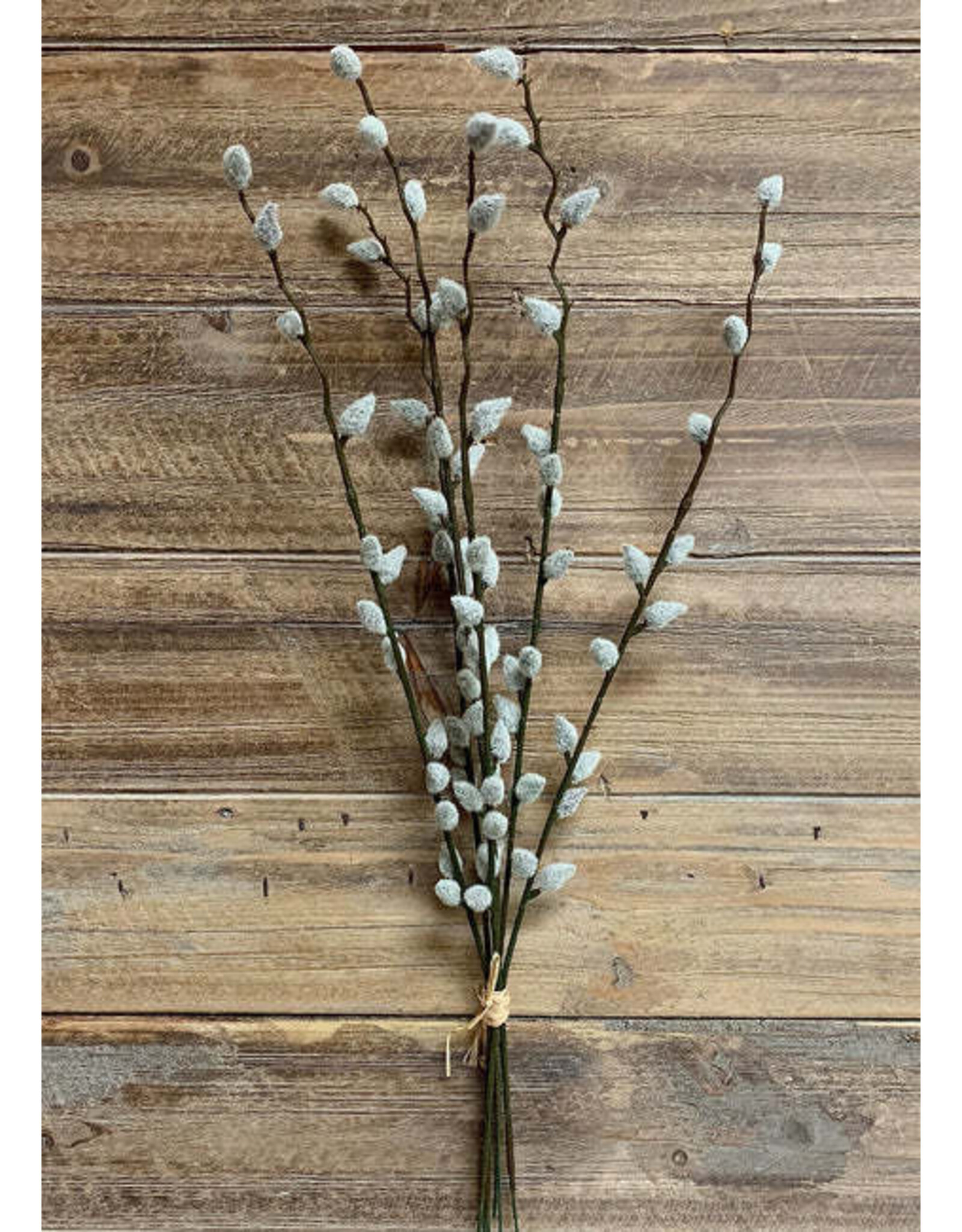 19" Pussy Willow Bundle