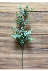 25" Eucalyptus Spray