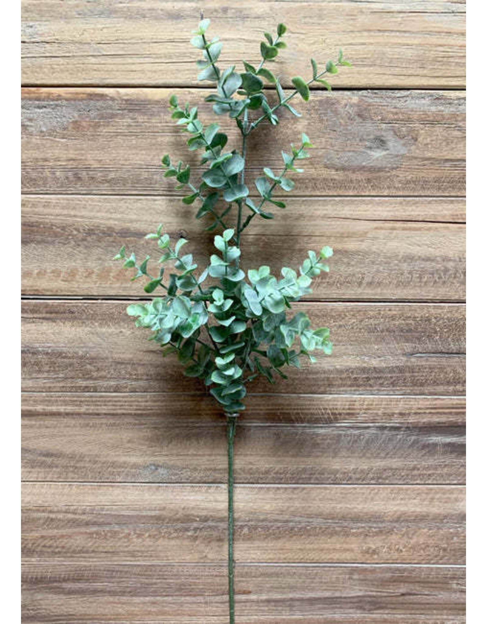 25" Eucalyptus Spray