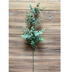 25" Eucalyptus Spray