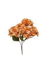 Hydrangea Bunch - coral