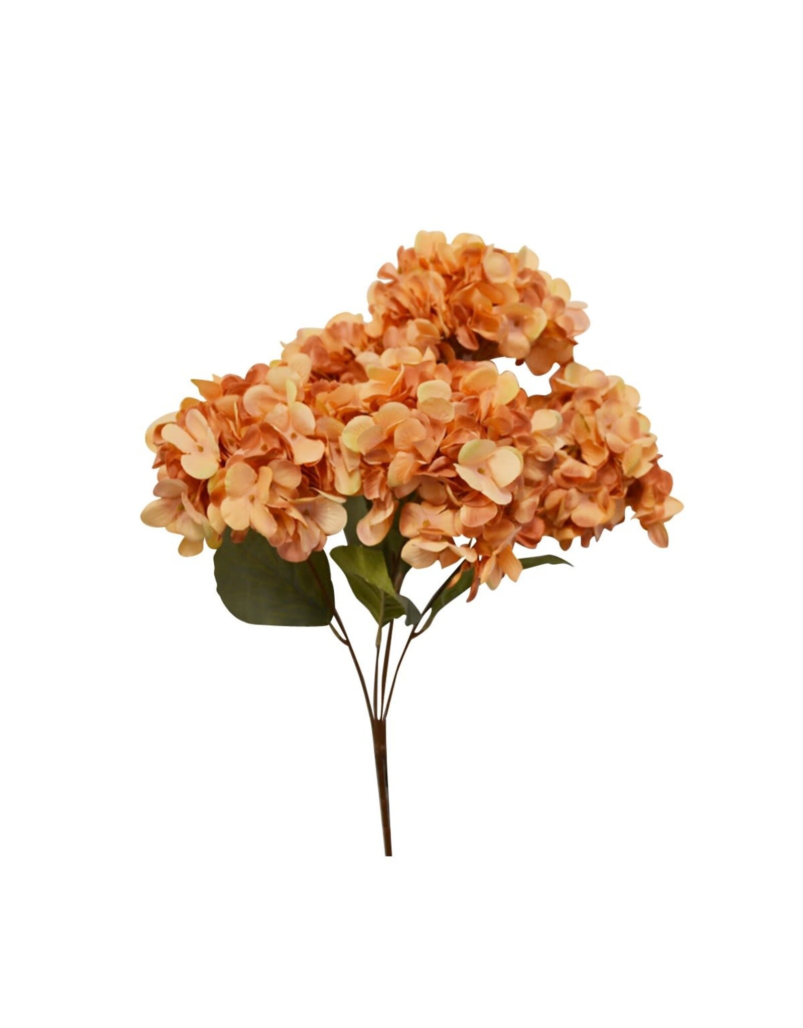 Hydrangea Bunch - coral