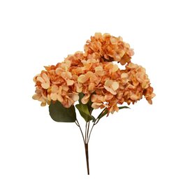 Hydrangea Bunch - coral