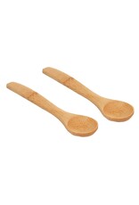 Small Wooden Condiment Spoon