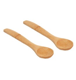 Small Wooden Condiment Spoon