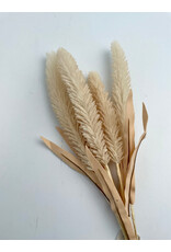 Beige Cattail Bouquet