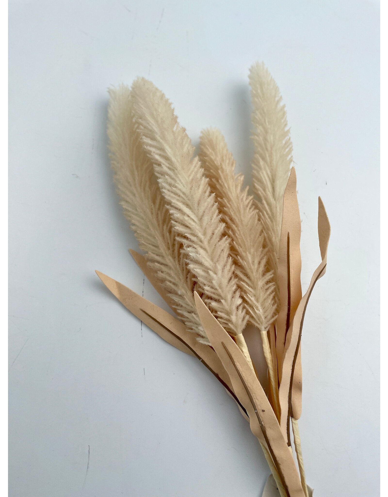 Beige Cattail Bouquet