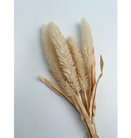 Beige Cattail Bouquet