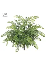 Maidenhair Fern Bush, 19in