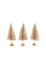 Gold Snow Capped Bristle Tree