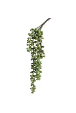 String of Pearls, 13in