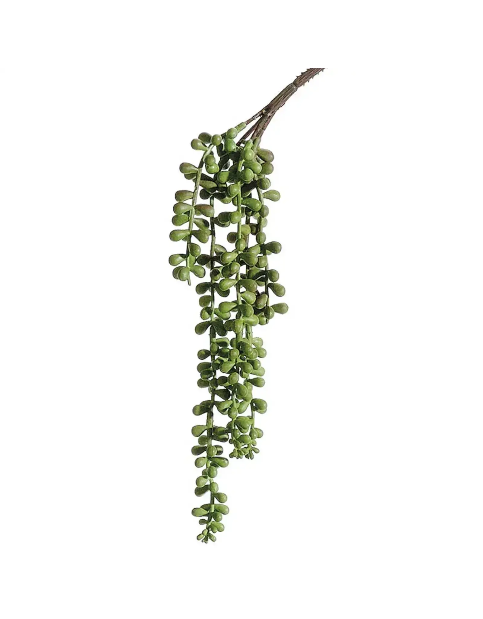 String of Pearls, 13in