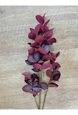 Eucalyptus Leaf Spray, Burgundy