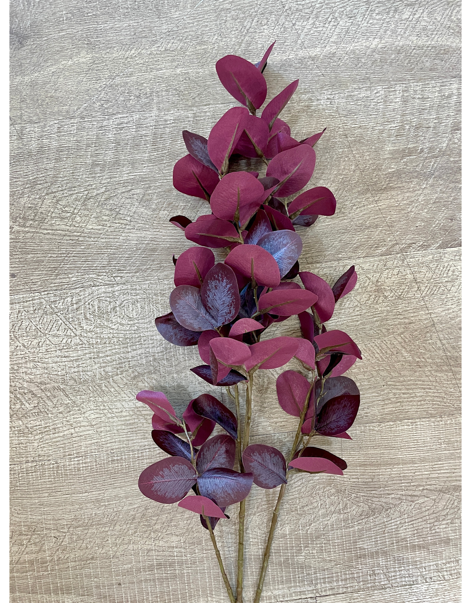 Eucalyptus Leaf Spray, Burgundy