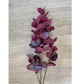 Eucalyptus Leaf Spray, Burgundy