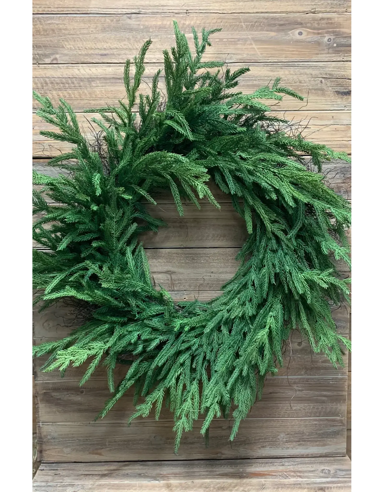 30" FreshT ouch Norfolk Pine Wreath