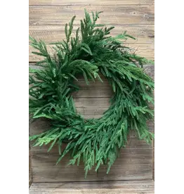 30" FreshT ouch Norfolk Pine Wreath