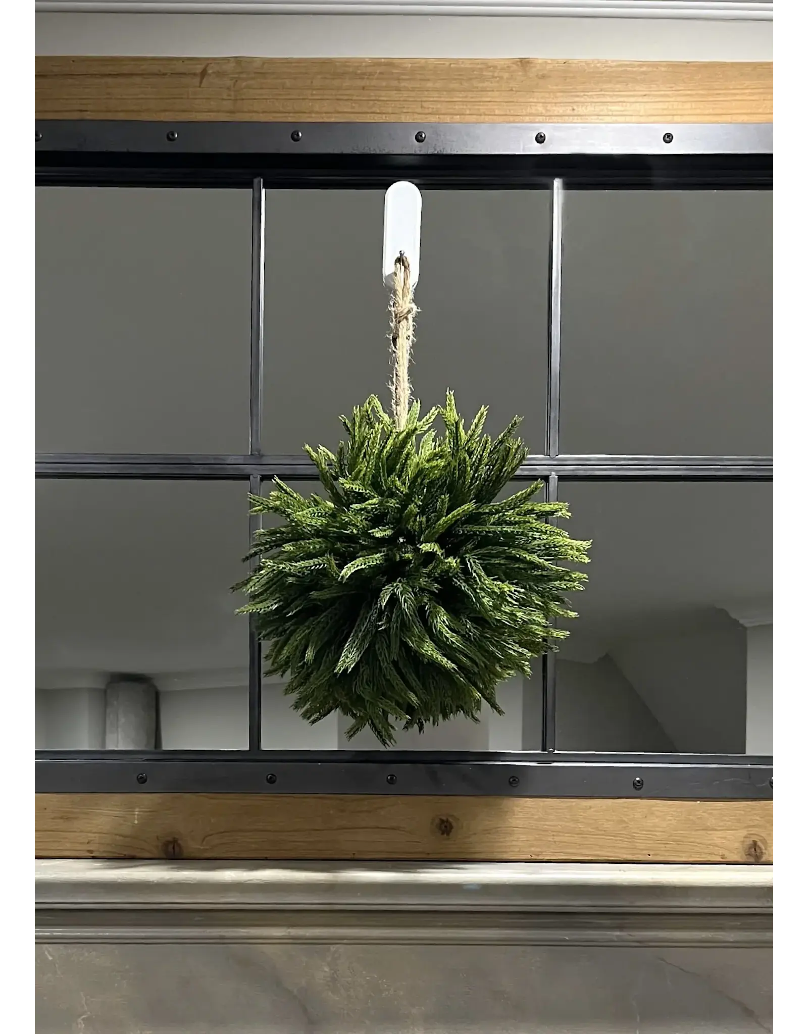 Norfolk Pine Topiary Ball