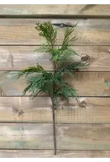 28" Fresh Touch Northern White Cedar Spray