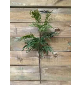 28" Fresh Touch Northern White Cedar Spray