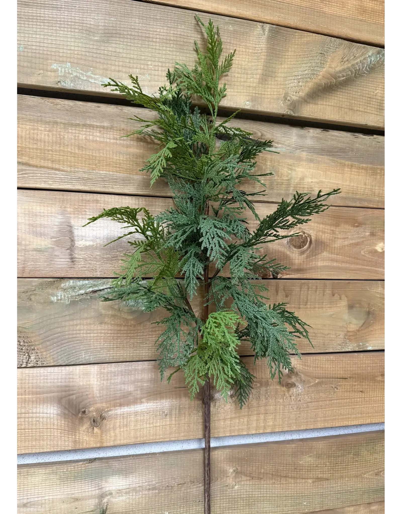 34" Fresh Touch Northern White Cedar Spray