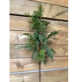 34" Fresh Touch Northern White Cedar Spray