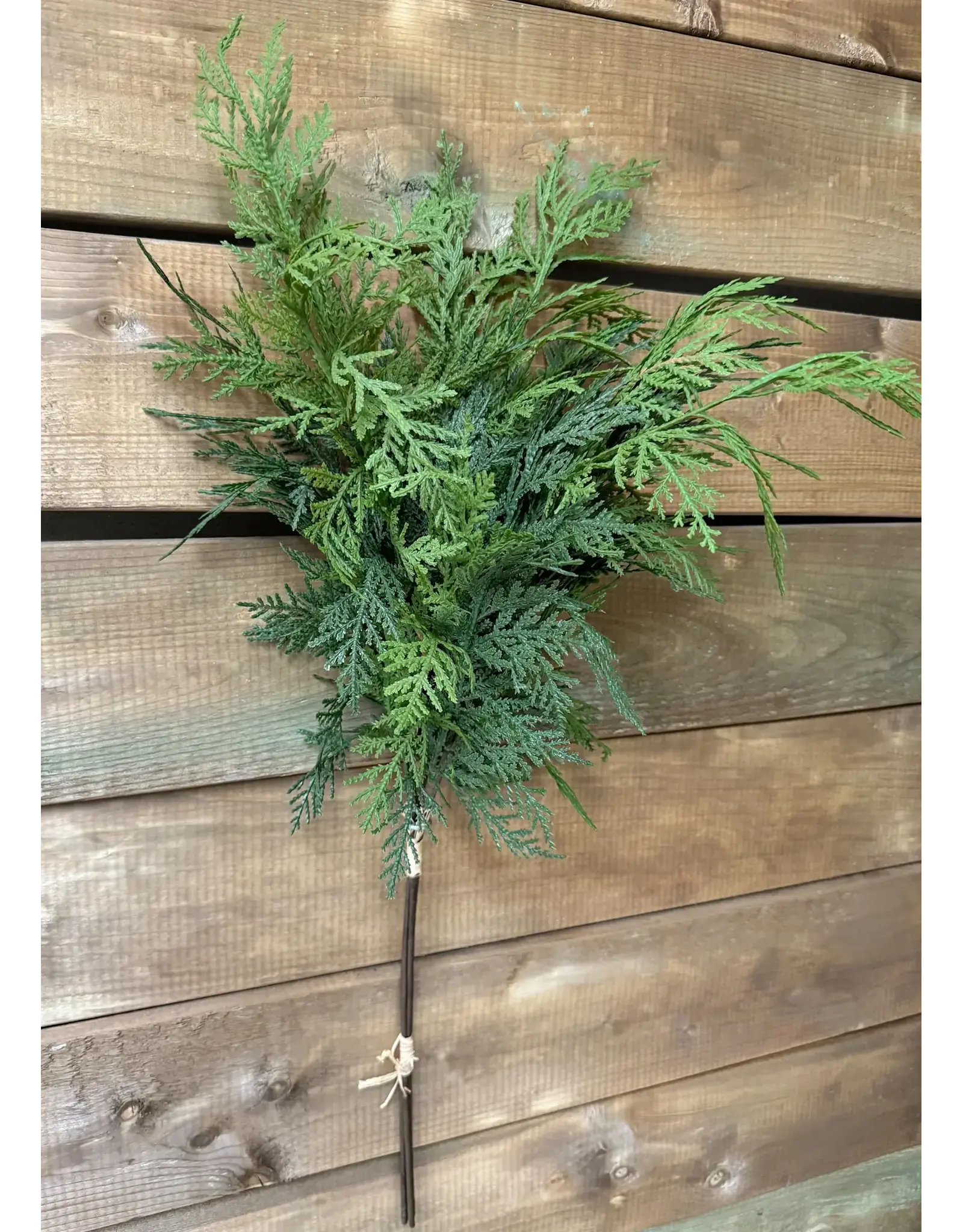 28" Fresh Touch Northern White Cedar Bundle, 3 stems