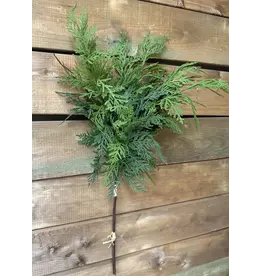28" Fresh Touch Northern White Cedar Bundle, 3 stems