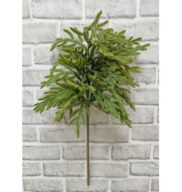 34" Fresh Touch Norfolk Island Pine Spray