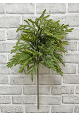 23" Fresh Touch Norfolk Island Pine Spray